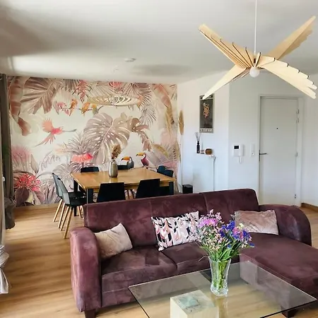 Spacious Near Center Terrace Et Parking *